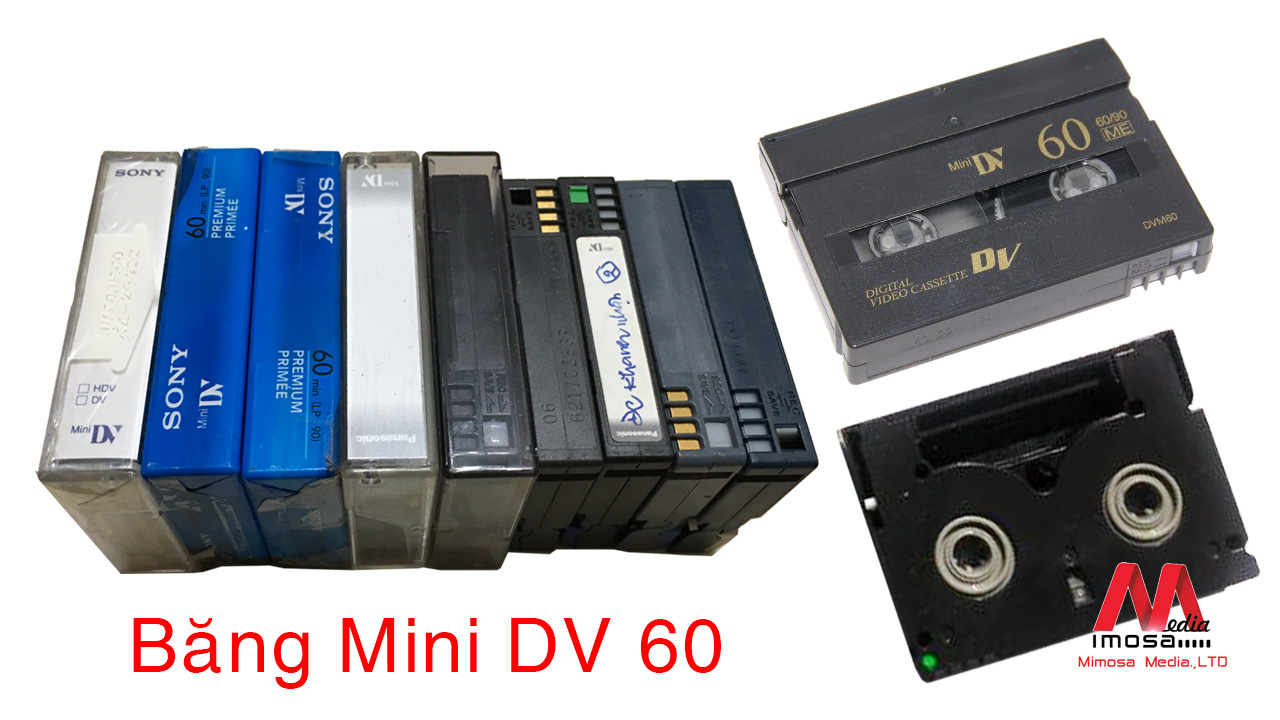 Công ty Mimosa nhận chuyển đổi các loại băng đĩa sau ra file USB, DVD